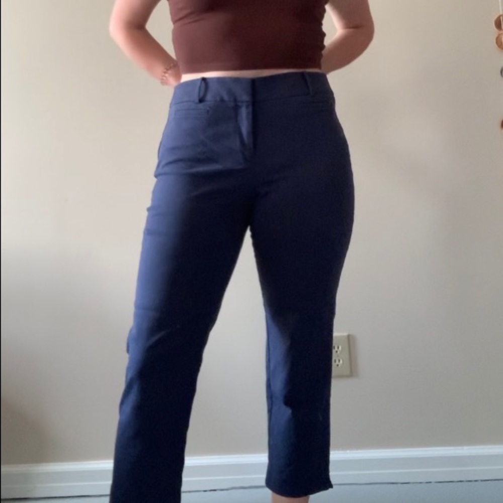 Loft Marisa Cropped Pants - SOLD ELSEWHERE